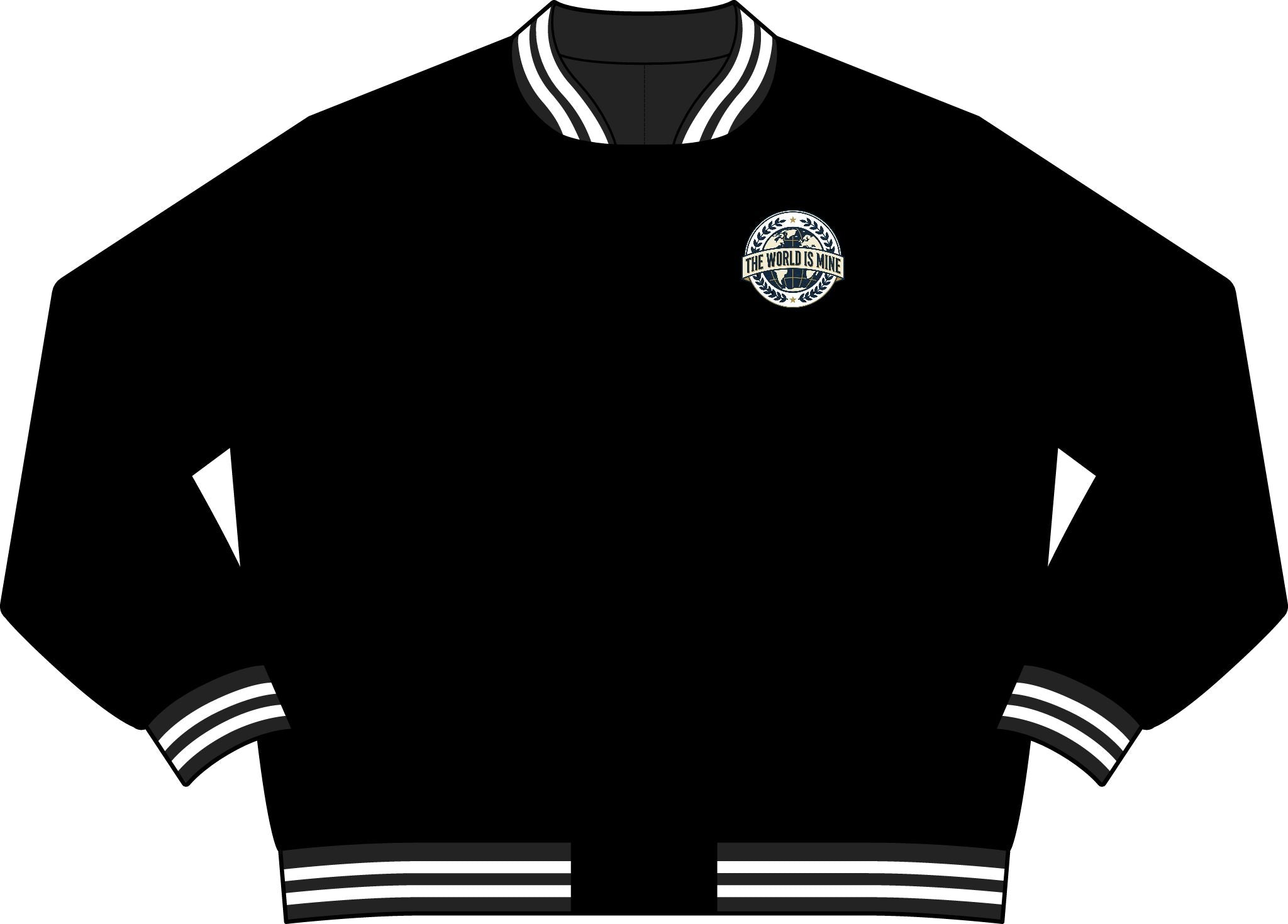 Varsity Bomber Jacket — "The World Is Mine"